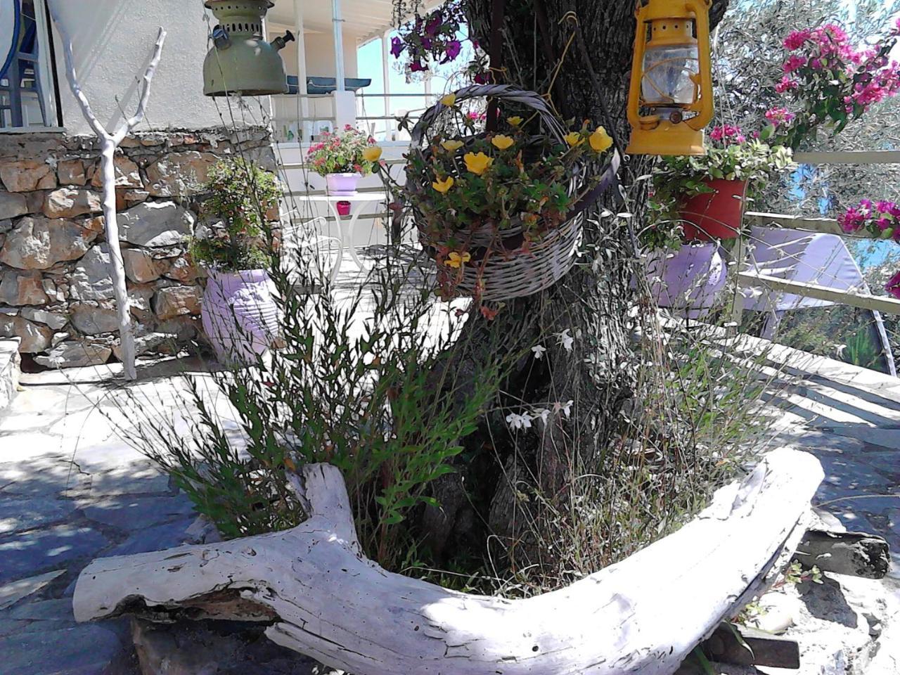 Odyssia Near The Seaside Daire Agios Petros  Dış mekan fotoğraf